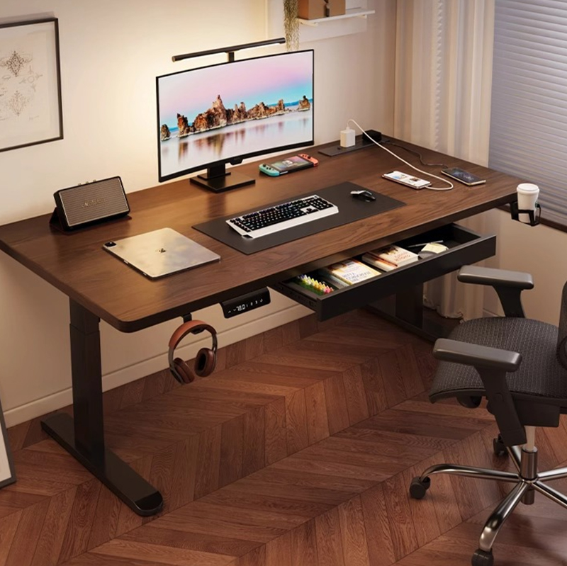 Moderner Elektrischer Stehschr – Desk Setup Ergonomics Bewertung und Preis