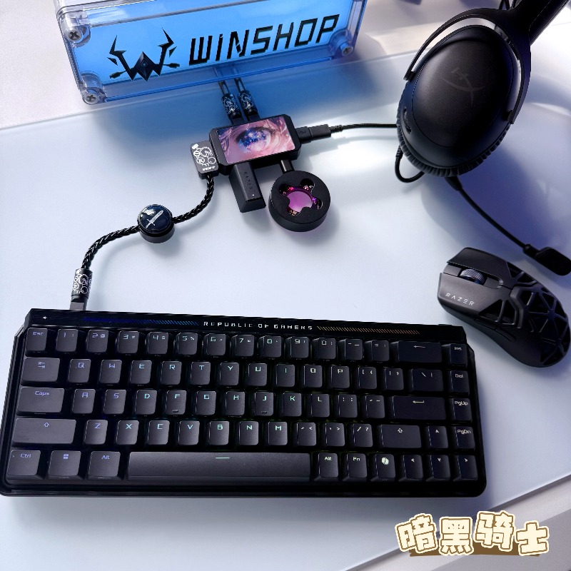WINSHOP Esports HUB Dual-In 4- – Desk Setup Aesthetic Bewertung und Preis