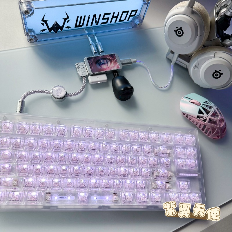 WINSHOP Esports HUB Dual-In 4- – Desk Setup Aesthetic Bewertung und Preis